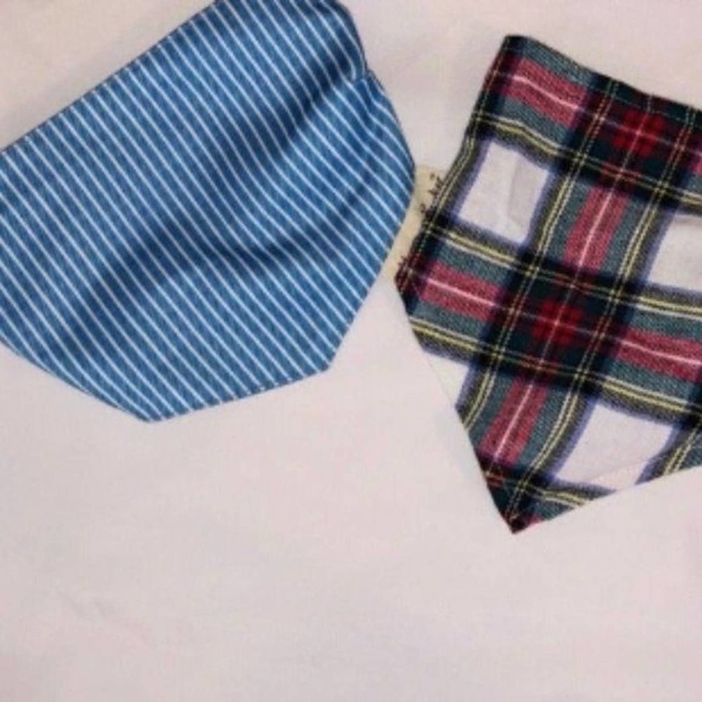 Set of 2 puppy scarves, hook and loop neck